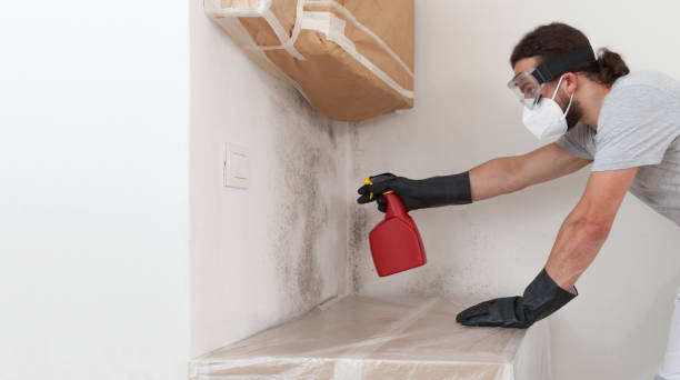 Professional Crawl Space Mold Removal technician working in Oak Park, MI